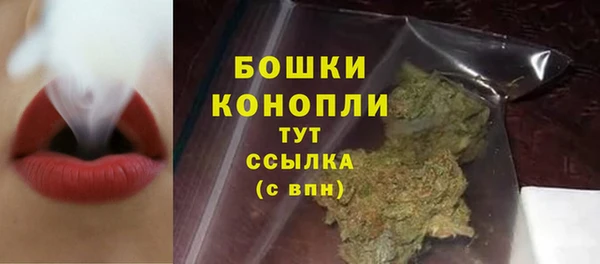 СК Новозыбков