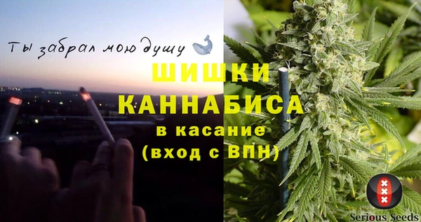 гидра Протвино