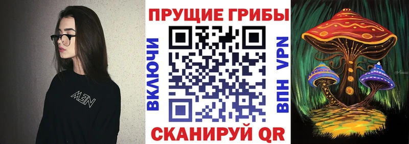Галлюциногенные грибы мицелий  как найти закладки  Северобайкальск 