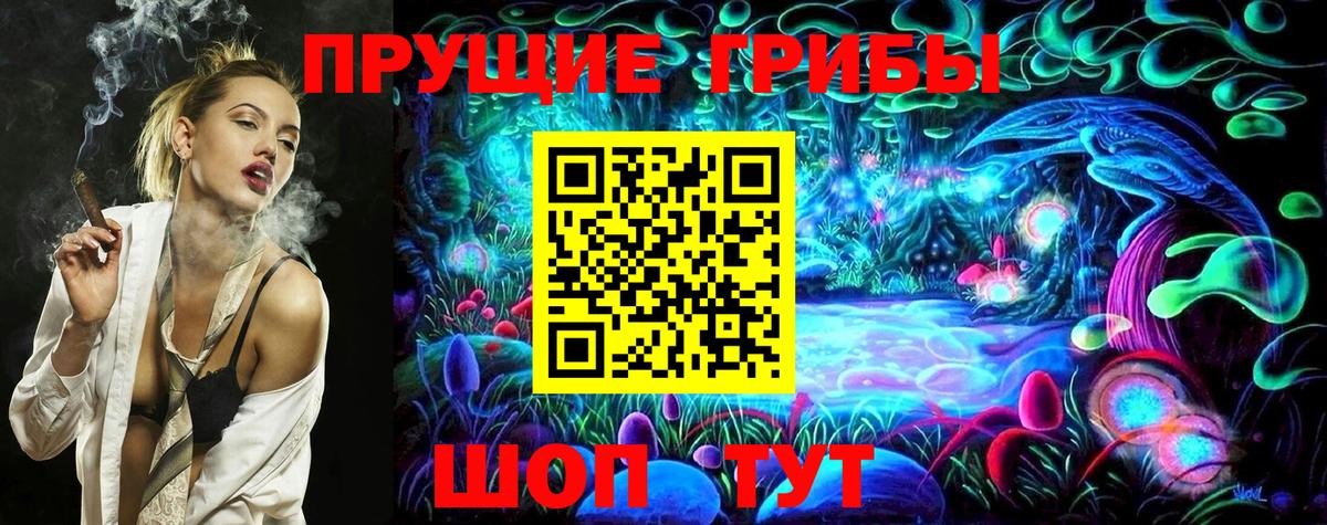 Галлюциногенные грибы Psilocybe Северобайкальск