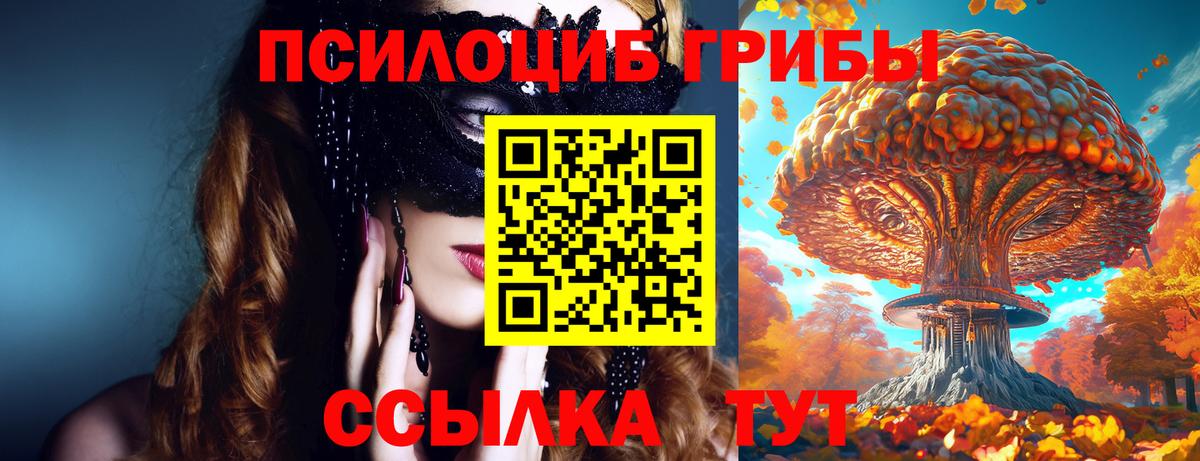 Галлюциногенные грибы Cubensis  Псилоцибиновые грибы Psilocybine cubensis  Северобайкальск  Вход с VPN 
