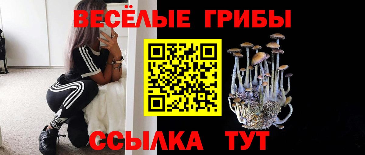 Галлюциногенные грибы Cubensis  Северобайкальск  Галлюциногенные грибы прущие грибы 